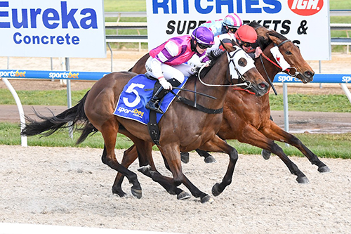 FROME THE STARS DELIVERS FIRST UP AT BALLARAT.